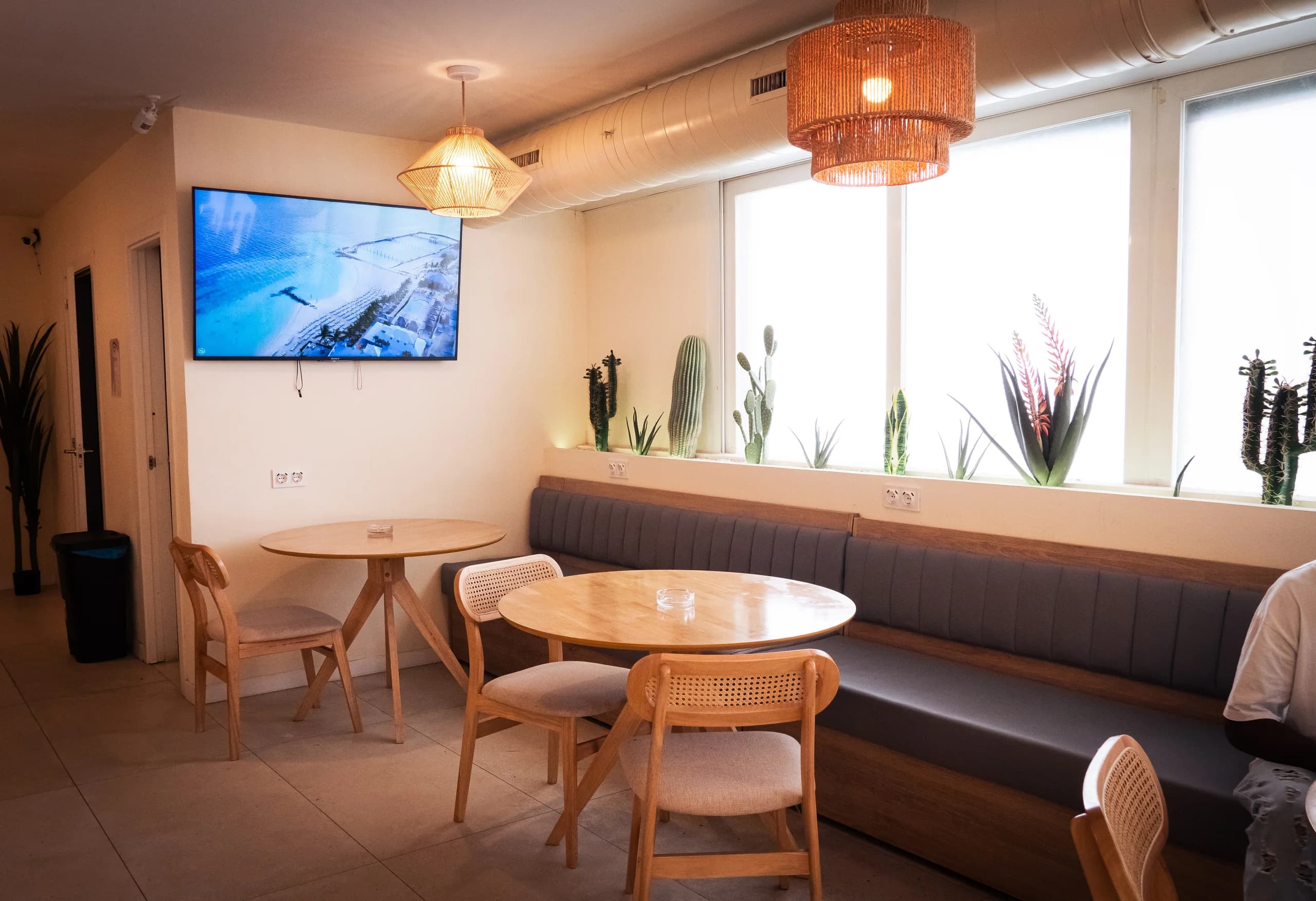Sala de Zen Weed Club con pantalla y luz natural